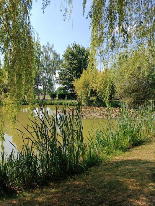 Comme A La Maison Pres Des Chateaux De La Loire Holiday home *